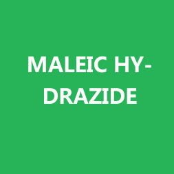 maleic hydrazide